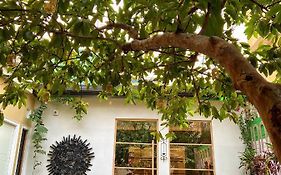 The Art Hotel By Via Varanasi